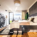 5br+2bath Old Town Industrial Penthouse, A/c